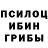 Псилоцибиновые грибы мицелий Aliko Alikoo