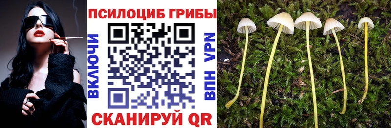 наркошоп  Билибино  Псилоцибиновые грибы ЛСД 